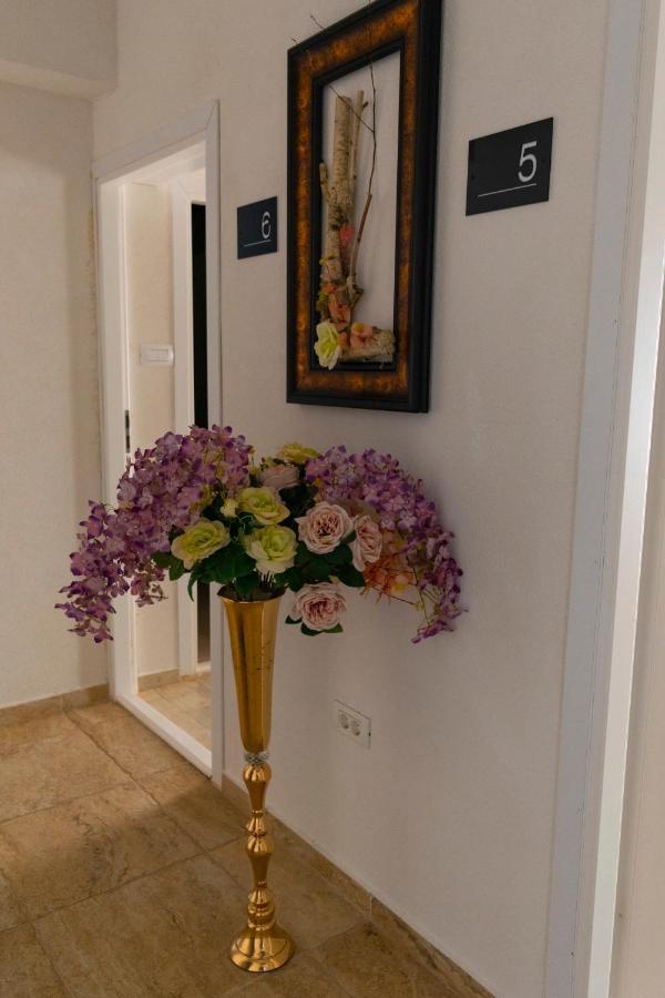 فندق Boutique 23 Douăzeci şi Trei August المظهر الخارجي الصورة